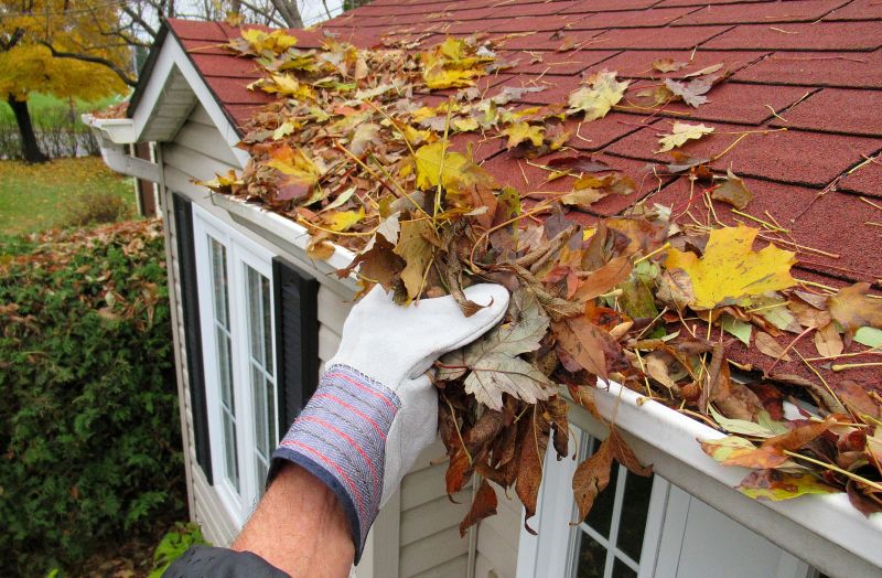 Seasonal Leaf Cleanup