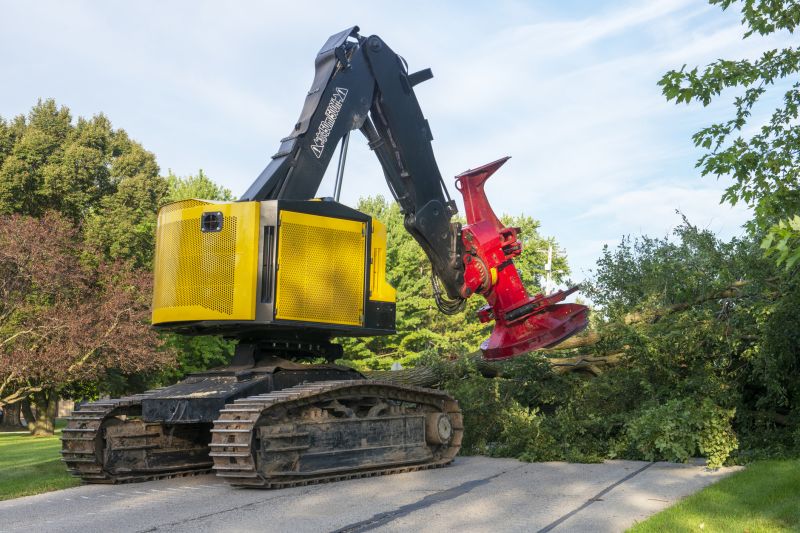 Heavy Equipment for Large Trees