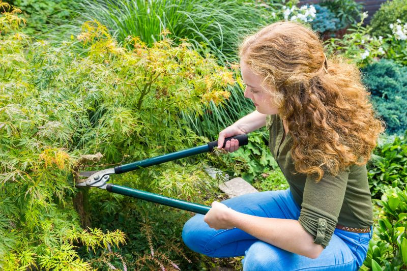 Spring Pruning of Japanese Maple